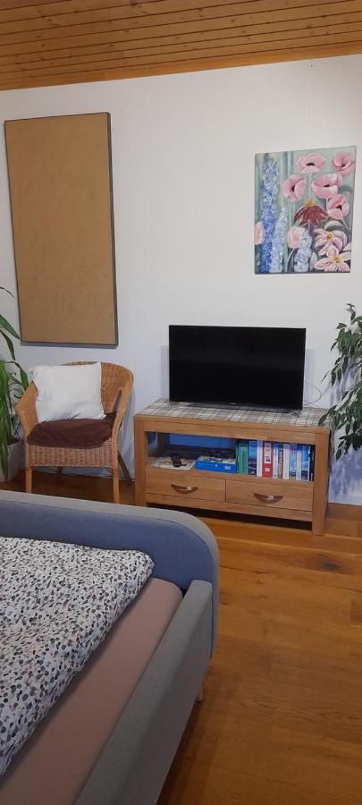 Apartment Zettler *
