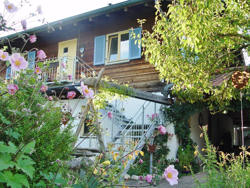 Zettler Buxheim (Swabia)